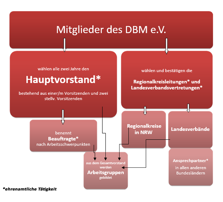 struktur2016